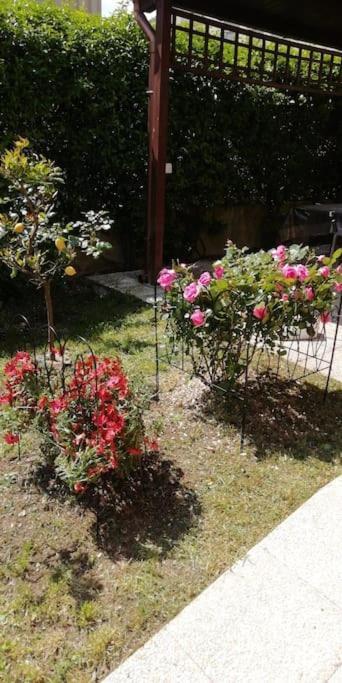 Appartamento Tra Il Borgo E Il Lago Anguillara Sabazia Exterior foto